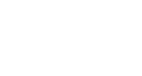 瑞发电器